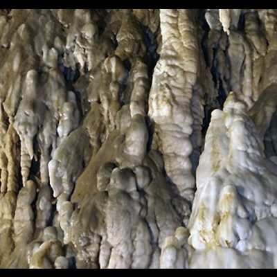 Gallery 4