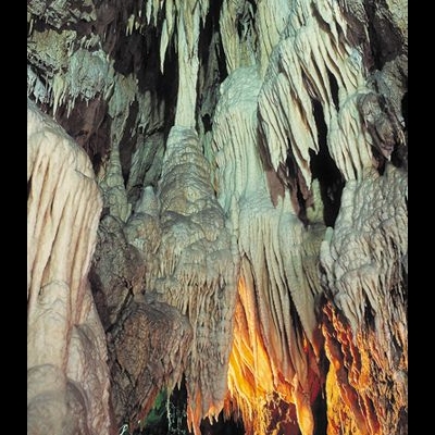 Gallery 4