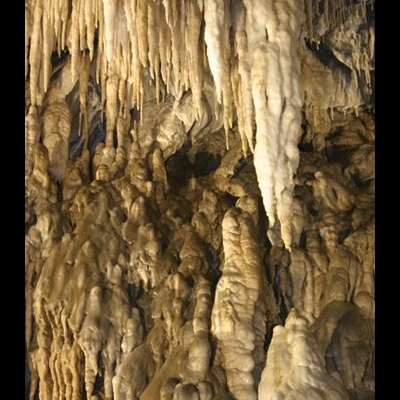 Gallery 4