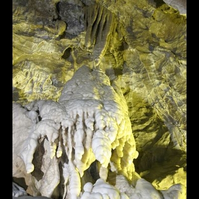 Gallery 4