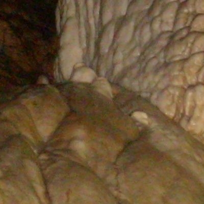 Gallery 4
