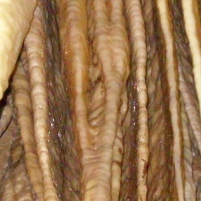 Gallery 4