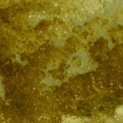 Gallery 4